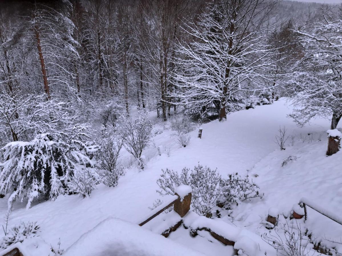 Wellness Chaloupka Mezna - Narodni Park Ceske Svycarsko Villa Hřensko Dış mekan fotoğraf